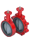 Resilient Seated Butterfly Valve Series 30/31