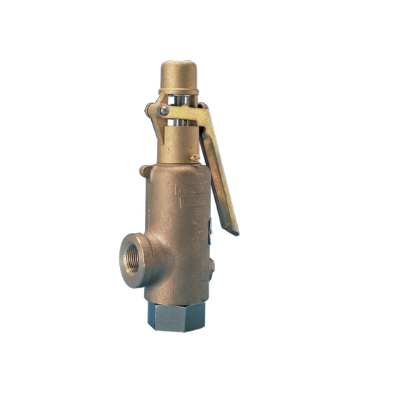 Kunkle Valve Models: 189/363/389 - Safety Relief Valves