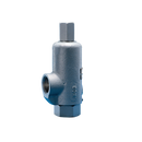Kunkle Models: 71S, 171, 171P and 171S - Safety Relief Valves