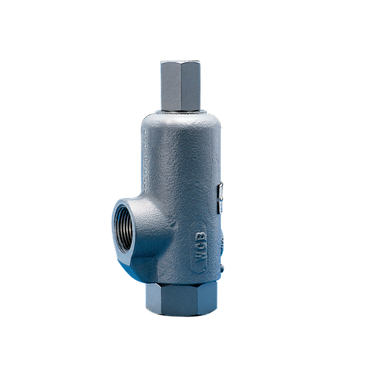 Kunkle Models: 71S, 171, 171P and 171S - Safety Relief Valves